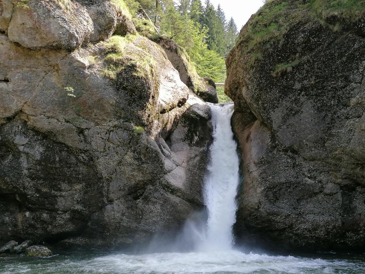 Fruehstueckspension Bilgeri Sulzberg  Extérieur photo