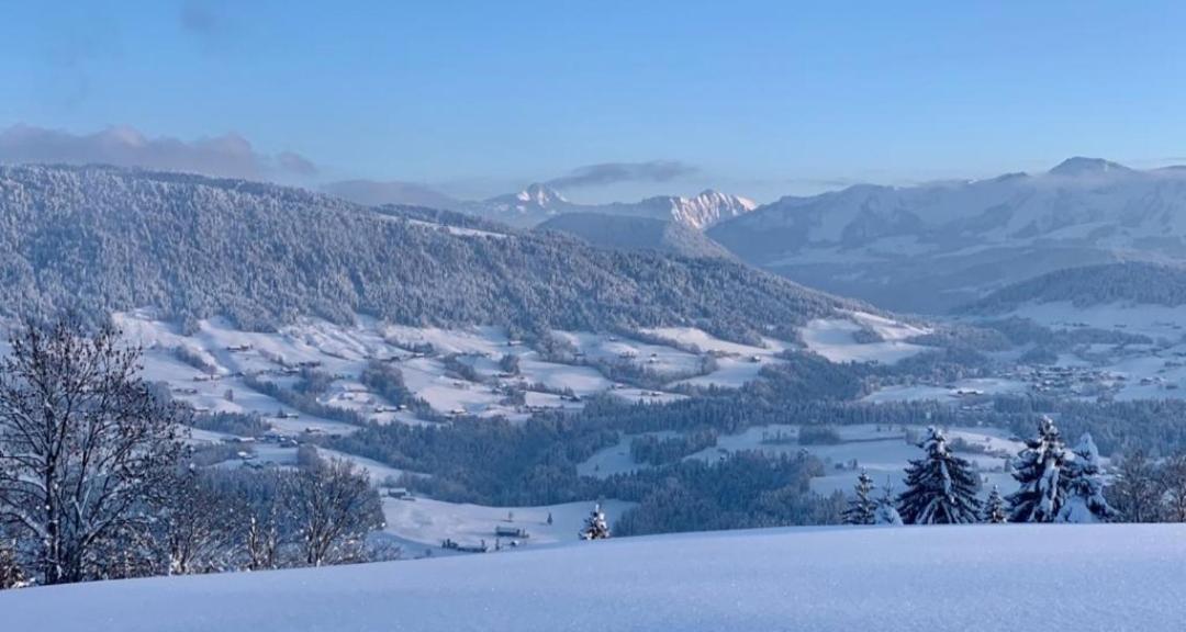 Fruehstueckspension Bilgeri Sulzberg  Extérieur photo